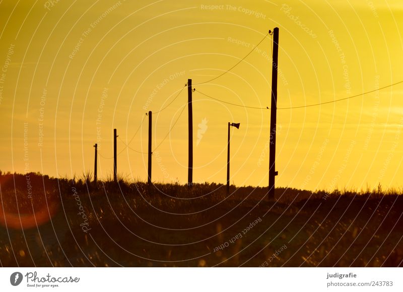 Energy Energy industry Solar Power Environment Nature Landscape Plant Sky Sunrise Sunset Summer Prerow Exceptional Moody power supply Electricity pylon