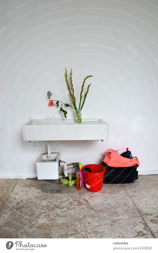 washbasin 2 Academic studies Workplace Art Artist Painter Exhibition Event Atelier Experimental Wall (barrier) Wall (building) Sink cleaning bucket Gladiola