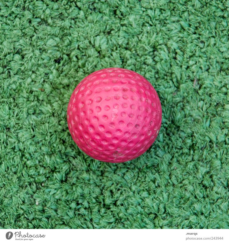 golf Joy Leisure and hobbies Playing Mini golf Sports Golf Ball Plastic Sign Round Green Pink Colour Golf ball Artificial lawn Colour photo Exterior shot Detail