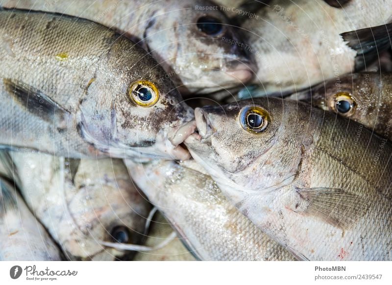 The kiss Food Fish - a Royalty Free Stock Photo from Photocase