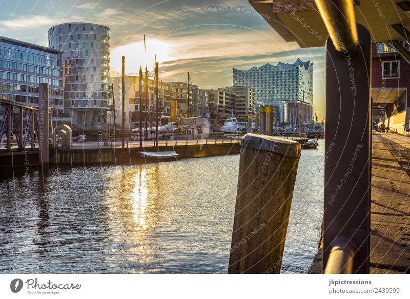Hamburg Hafencity Sunset Twilight Evening Light Romance Germany Water Blue sky House (Residential Structure) Harbour Channel Beautiful Calm Pensive