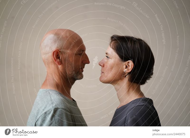Man and woman face each other and look each other in the eyes Lifestyle Leisure and hobbies Woman Adults Face 2 Human being 30 - 45 years 45 - 60 years Looking