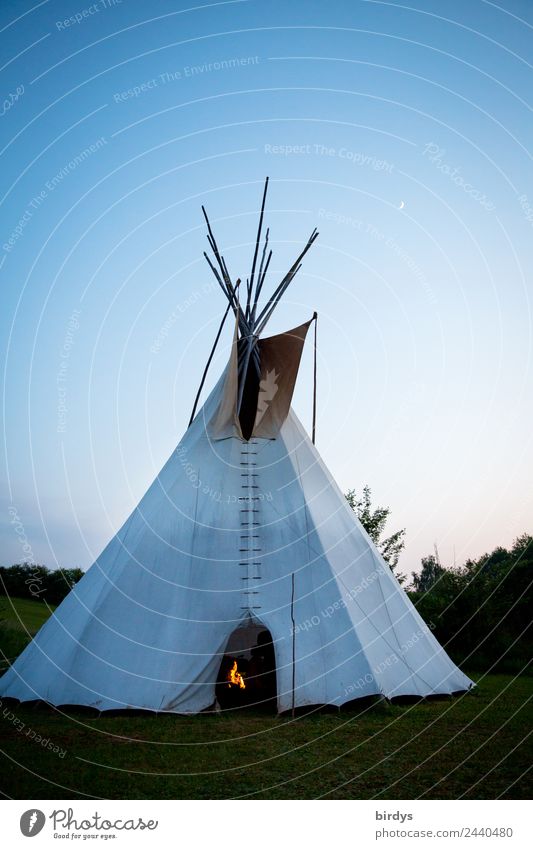 Inhabited tepee with campfire at dusk Tee Pee out Relaxation Calm Camping Living or residing camping Living tent Nature Fire Cloudless sky Moon Summer Tree