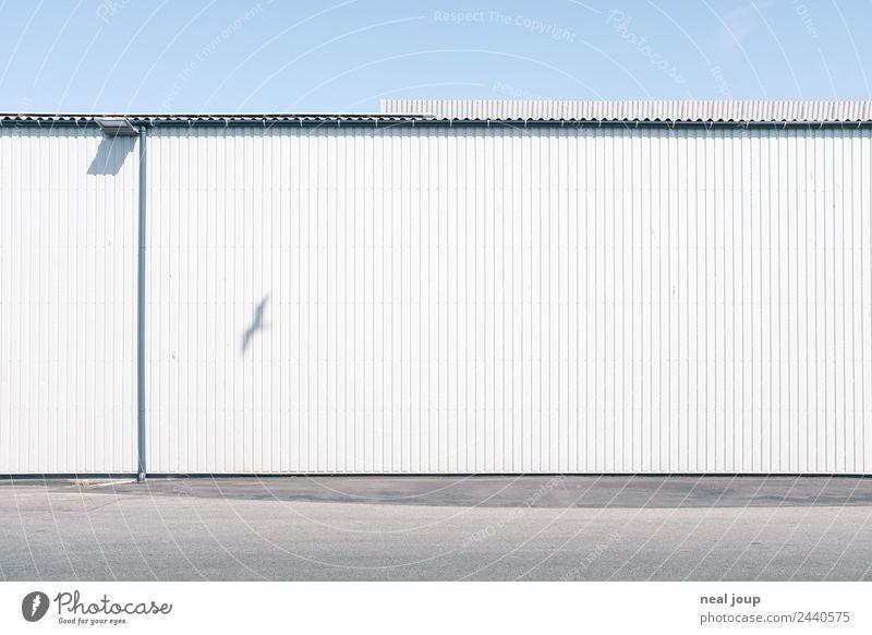 fly away Outskirts Warehouse Facade Bird Seagull 1 Animal Flying Dream Free Uniqueness Gloomy Blue White Boredom Loneliness Esthetic Freedom Hope Town
