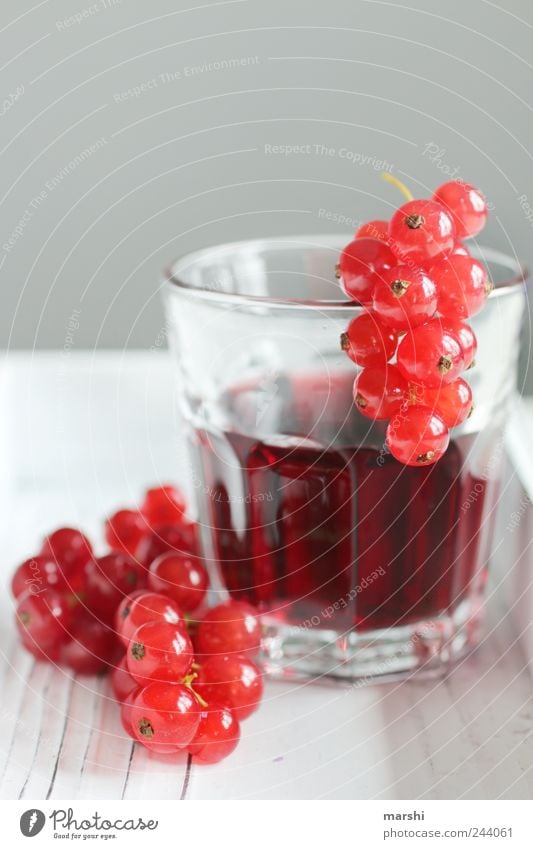 berry juice Food Fruit Nutrition Beverage Drinking Juice Red Berries Round Small Glass Thirsty Sour Tasty Sense of taste currant juice Colour photo