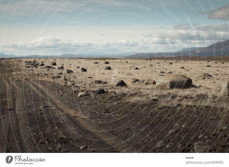 No way too far Environment Nature Landscape Earth Air Sky Clouds Horizon Grass Lanes & trails Stone Dry Target Iceland Ground Steppe Tracks Tire tread