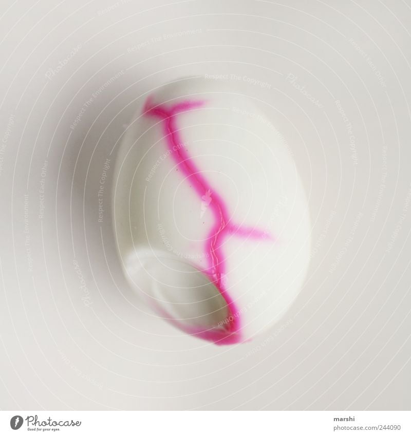 lifeline Nutrition Breakfast Pink White Egg Easter egg Molt Line Multicoloured Isolated Image Copy Space Pattern Appetite Colour photo