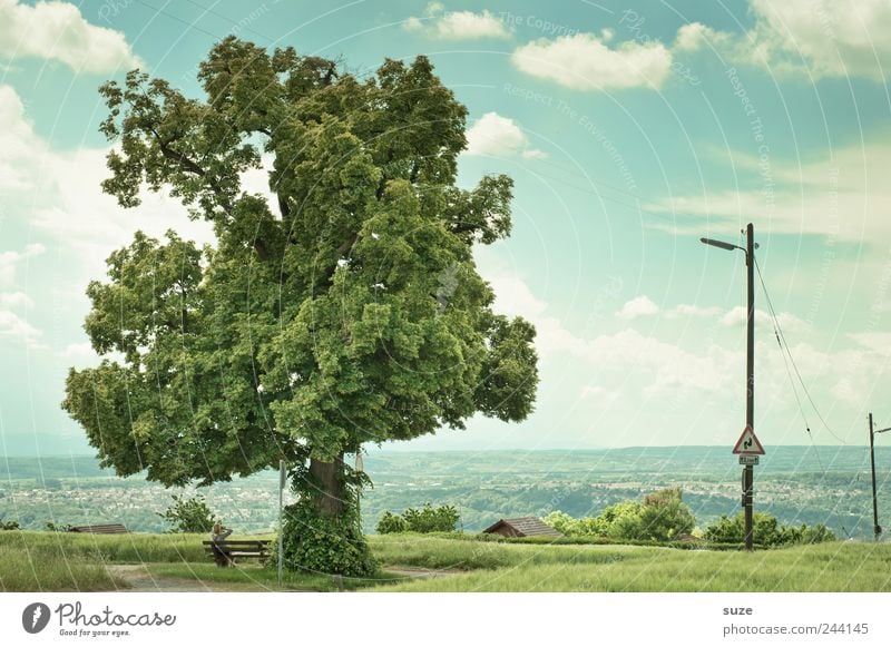 accretion Calm Environment Nature Landscape Sky Clouds Tree Meadow Growth Natural Green Idyll Break Treetop Bench Electricity pylon Overview Colour photo