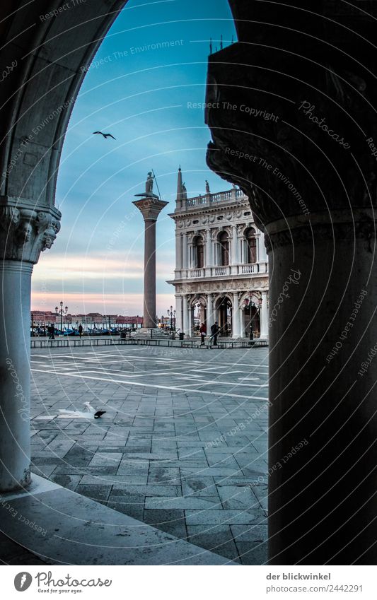St. Mark's Square empty of people Venice Deserted Tourist Attraction Landmark Monument Contentment Moody Tourism Tradition St. Marks Square Dawn Colour photo