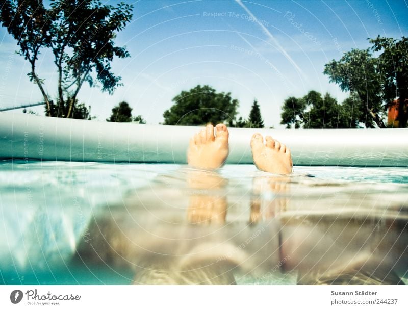 daydream Leisure and hobbies Woman Adults Legs Feet 1 Human being Water Drops of water Cloudless sky Summer Garden Swimming & Bathing Hover Relaxation Spa