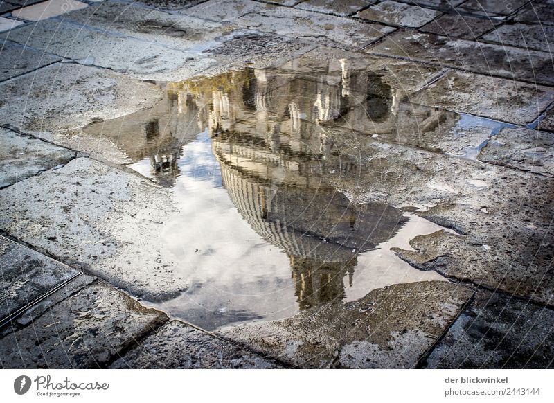 Attention puddle! Venice Dome Tourist Attraction Landmark Monument Historic Wet Natural Puddle Reflection Colour photo Exterior shot Experimental Day Light