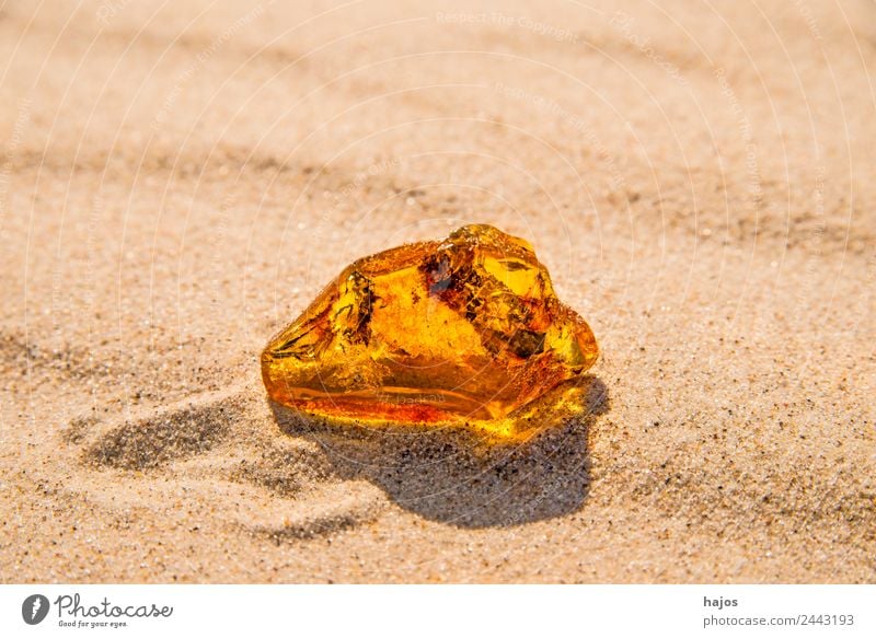 teknisk voldsom stemme Amber at the Baltic Sea beach - a Royalty Free Stock Photo from Photocase