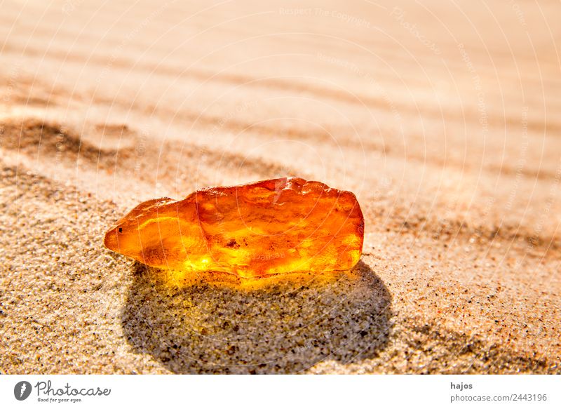 Amber at the Baltic Sea beach Healthy Beach Nature Sand Ornament Old Glittering Yellow Brilliant luminescent Bright sunny Poland healing stone naturopathic