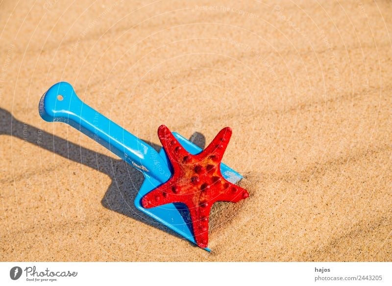 Sandy beach with toy shovel and starfish Joy Relaxation Vacation & Travel Summer Beach Child Blue Yellow Red Tourism Shovel Toys Starfish spi play in sand