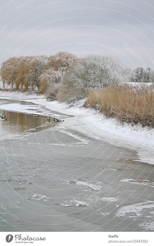 quiet winter landscape Shore of a pond Snowscape Frozen surface Landscape tranquil countryside Pond Frost chill Ice winter cold winterly peace January