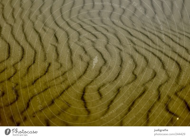 beach shapes Environment Nature Landscape Sand Coast Beach Baltic Sea Ocean Natural Warmth Soft Structures and shapes Undulation Colour photo Subdued colour