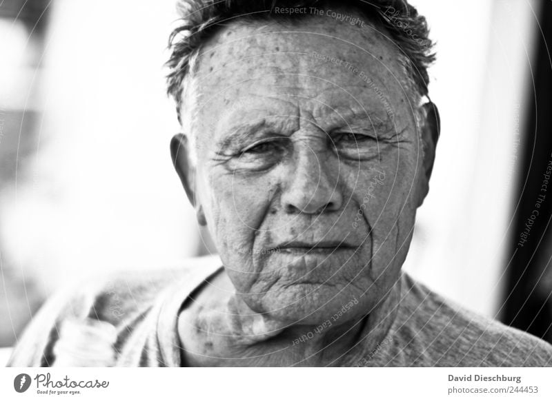 Life readable Human being Male senior Man Senior citizen Skin Head 1 60 years and older Hair and hairstyles Short-haired Old Black White Serene Patient