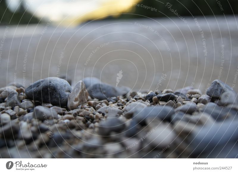 gravel Mountain Alps River bank Ocean Brook Stone Calm Gravel Pebble Background picture sedimentology Depth of field Geology Isar Austrian Minerals Round