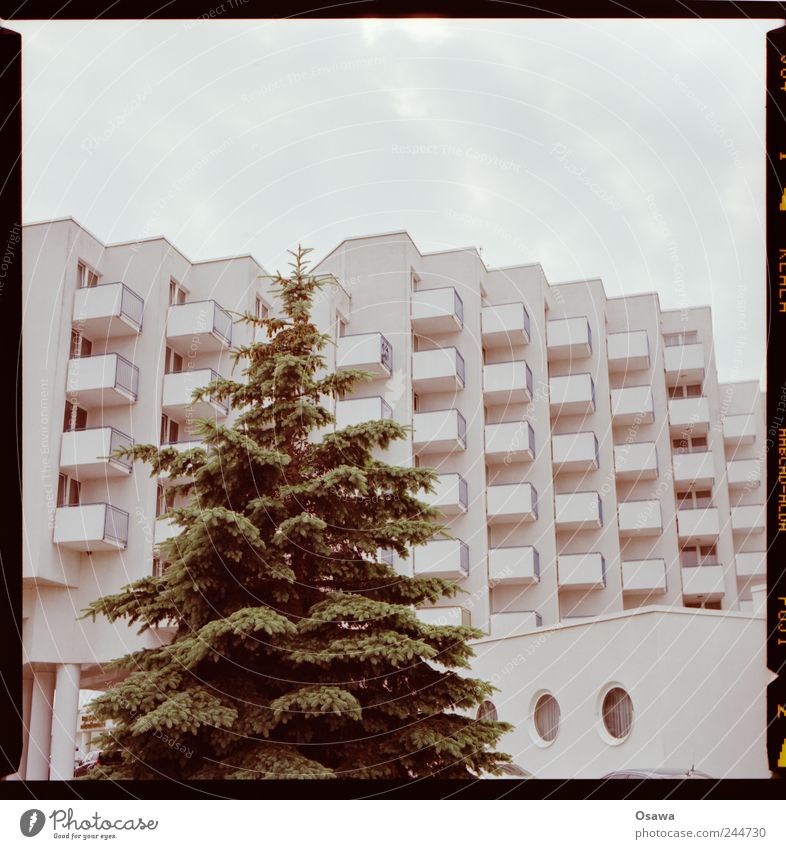 Hotel with conifer Architecture Building bedtenburg Facade Balcony White Grid Structures and shapes Arrangement Row Sky Covered Clouds Copy Space Deserted Tree