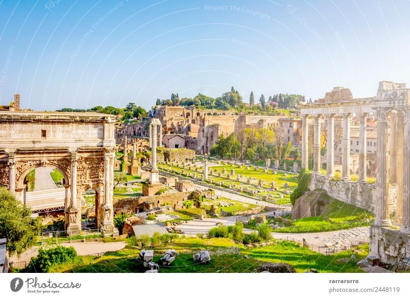 Roman Forum in Rome, Italy Lifestyle Vacation & Travel Tourism Sightseeing City trip Summer Sun Culture Landscape Sky Church Ruin Places Building Architecture