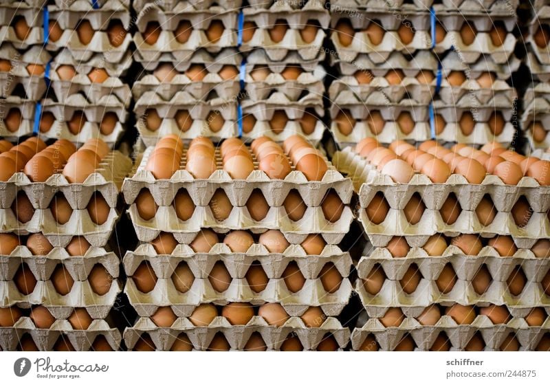 ...and on Sundays even two Food Breakfast Many Egg Eggs cardboard Egg seller Egg production Intensive stock rearing Stack Markets Covered market Market stall