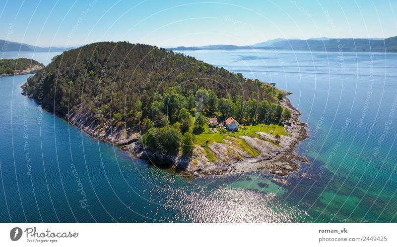 Norwegian Island (Southwest) Environment Nature Landscape Plant Earth Cloudless sky Beautiful weather Tree Hill Rock Coast Fjord Ocean Spring fever Life