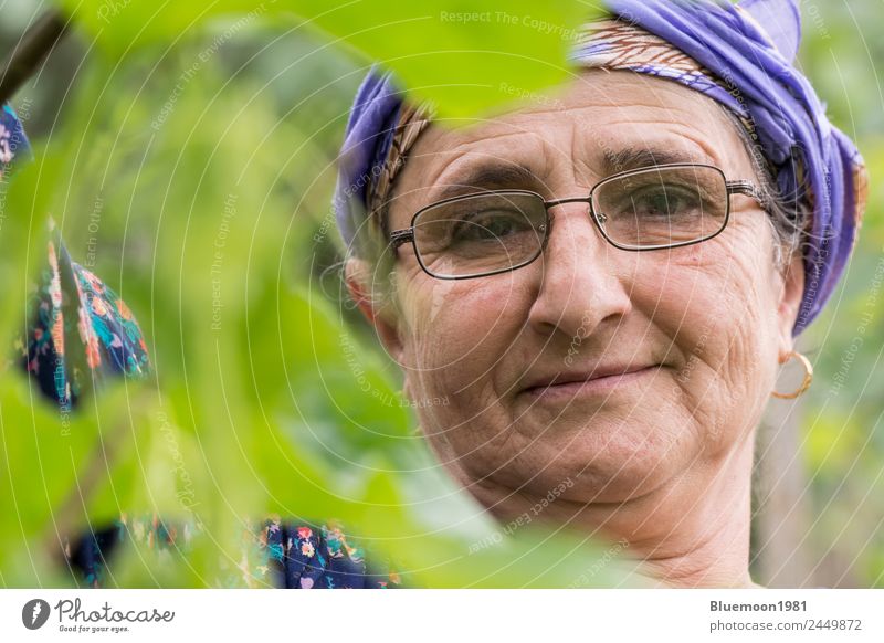 Close-up portrait of a senior woman at garden Vegetable Organic produce Vegetarian diet Lifestyle Style Healthy Healthy Eating Well-being Leisure and hobbies