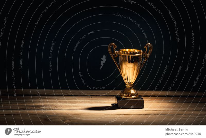 golden sport trophy Sports Cup (trophy) Success Gold Master Colour photo Studio shot Copy Space left Shadow