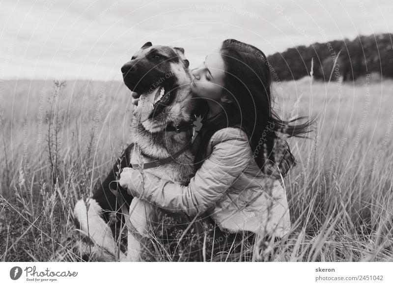 girl hugging a dog in the autumn field Human being Feminine Young woman Youth (Young adults) Adults 1 18 - 30 years Nature Landscape Autumn Beautiful weather
