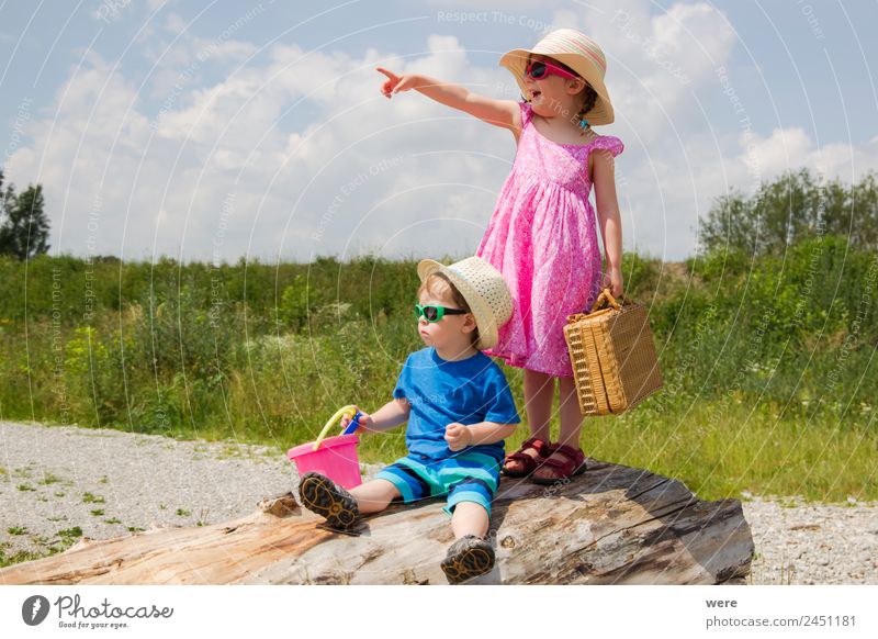 A boy and a girl in toddlerhood are standing on a log in summer clothes Beach Human being Baby Family & Relations Vacation & Travel Looking Dream Joy