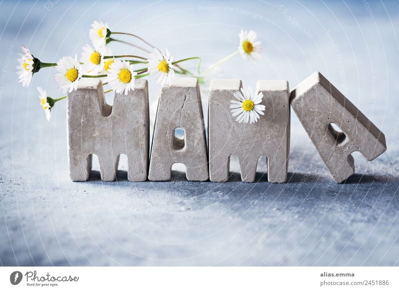 mama Mother Mother's Day Family & Relations Letters (alphabet) Concrete Love Connectedness Flower Daisy Thank you very much Spring Summer Rustic Grateful Style