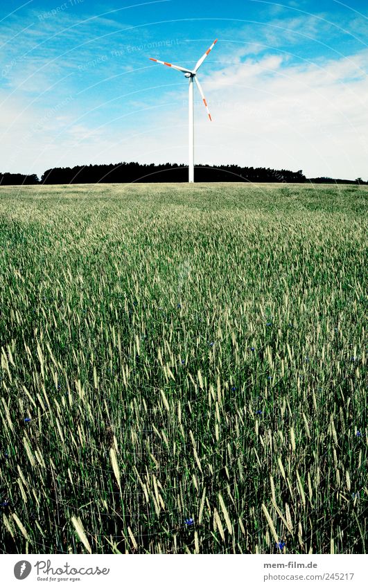 wind turbine behind biomass Wind energy plant Pinwheel Biomass Wheat Field Renewable energy Electricity Energy Energy industry Landscape Deface Brandenburg