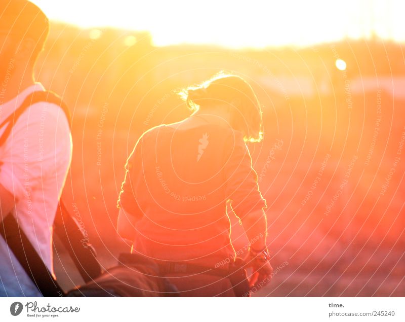 Still blond back light Joy Contentment Summer Human being Masculine Woman Adults Man Back Arm 2 Sky Horizon Free Yellow Red cap steamy Music festival Dazzle
