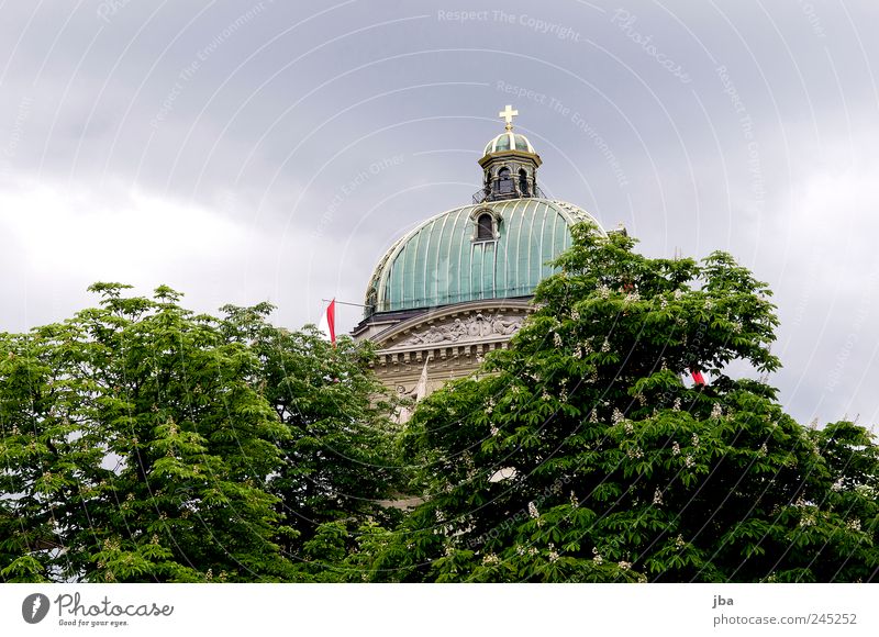 cupola of the Bundestag Tourism City trip Government Palace Politics and state Clouds Storm clouds Bad weather Gale Tree Berne Switzerland Manmade structures