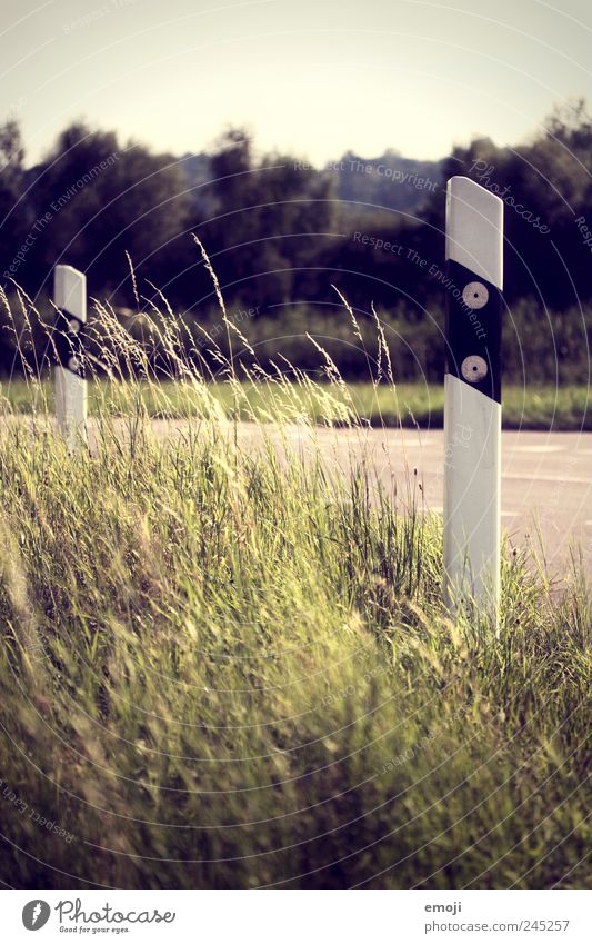 do you hear the wind? Nature Beautiful weather Grass Green Roadside Sun blind Transport Wind Deserted Colour photo Exterior shot Copy Space top Morning Day