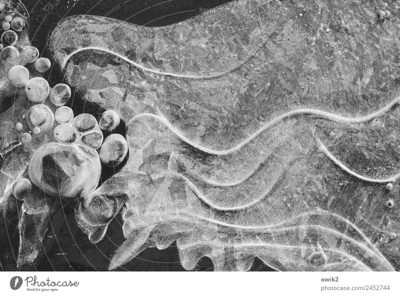 Air bubbles and ice waves Environment Nature Winter Ice Frost Waves Freeze Cold Frozen Line Sphere Black & white photo Exterior shot Close-up Detail Abstract