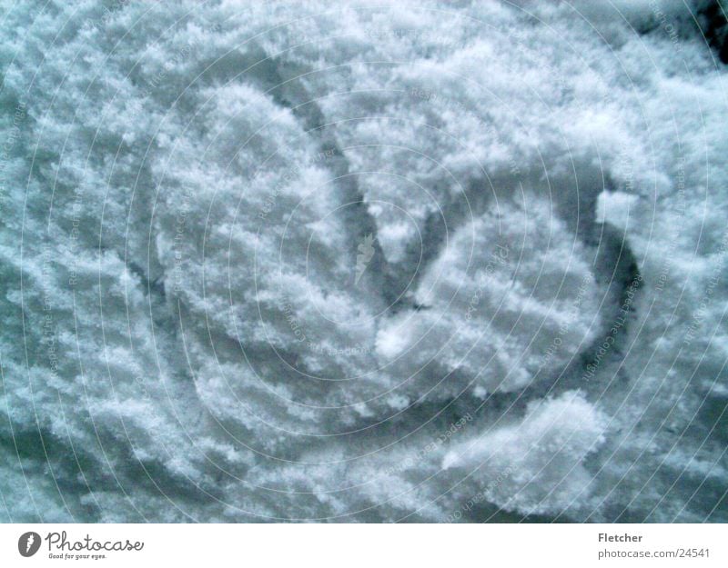 snow heart Flake Cold White Snow Heart Structures and shapes Love
