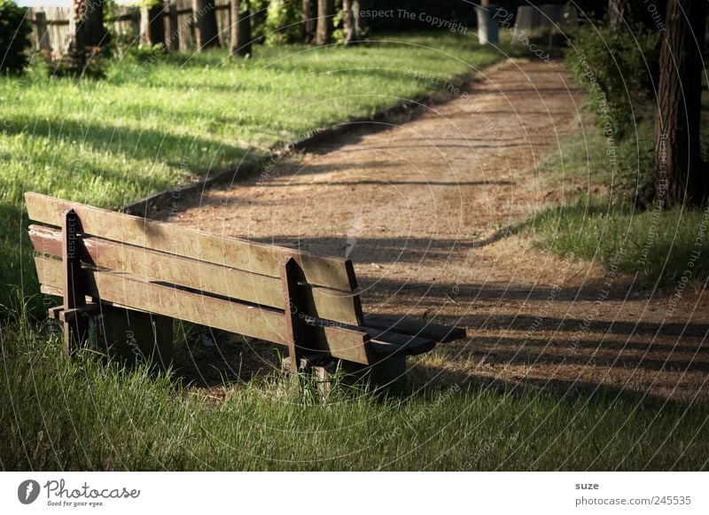 corner bench Calm Garden Meadow Lanes & trails Wood Brown Green Peace Break Target Bench Cemetery Wooden bench Fence Mysterious Colour photo Subdued colour