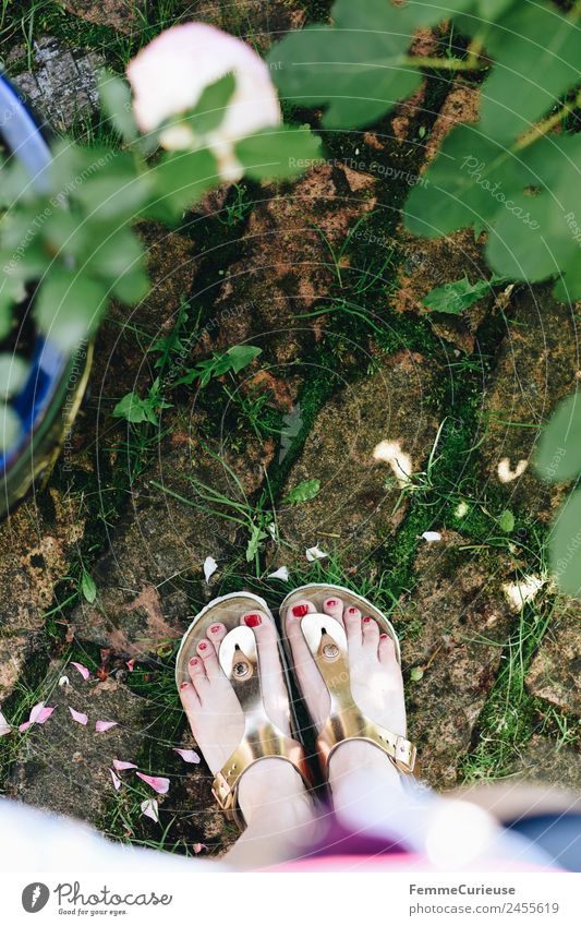 Feet of a woman wearing sandals Feminine Young woman Youth (Young adults) Woman Adults 1 Human being 18 - 30 years 30 - 45 years Esthetic Sandal Glittering