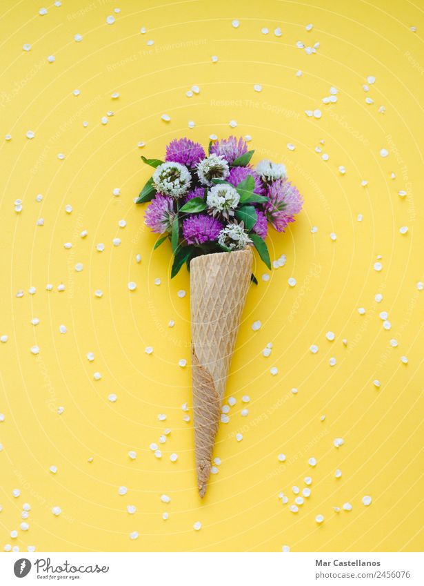 Ice cream cone with flowers on yellow background Herbs and spices Beautiful Summer Garden Art Plant Flower Grass Leaf Blossom Bouquet Write Natural Green Red
