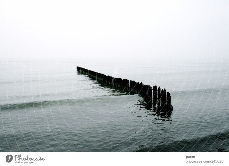 Poles in the water Water Horizon Fog Waves Beach Ocean Møn Denmark Europe Wood Looking Swimming & Bathing Dream Gray Black White Moody Peaceful Nature