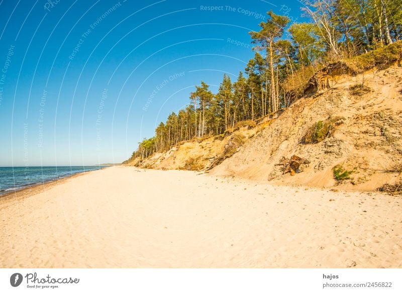 Beach at the Polish Baltic Sea coast Vacation & Travel Sand Reef Tourism Wild Dune Tree Empty far Loneliness Caribbean Sea Nature reserve Deserted paradise