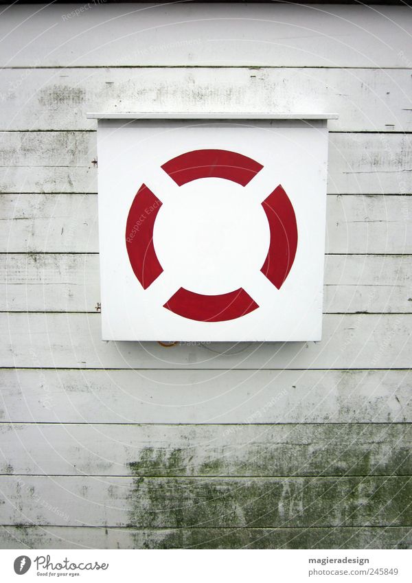 love rescue Wood Round Gloomy Red White Esthetic Help Survive Colour photo Exterior shot Day