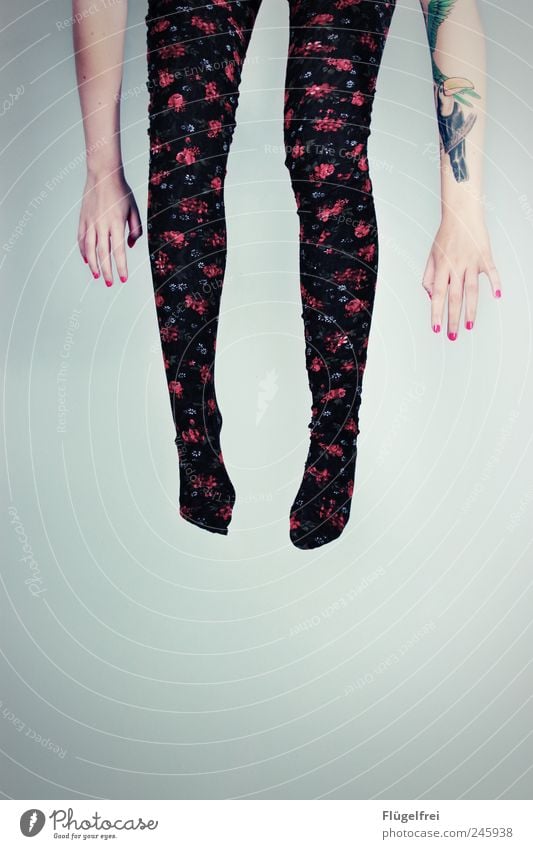the toucan lifted off Feminine Young woman Youth (Young adults) Woman Adults 1 Human being 18 - 30 years Hang Tattoo Tights Legs Rose Plant Flowery pattern