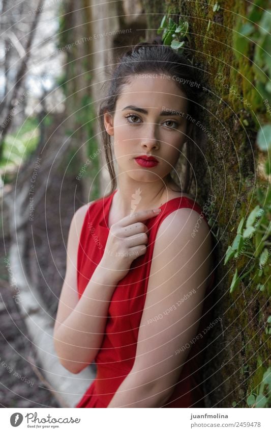 Portrait of girl in red dress Elegant Beautiful Face Make-up Summer Human being Young woman Youth (Young adults) Woman Adults 18 - 30 years Nature Garden