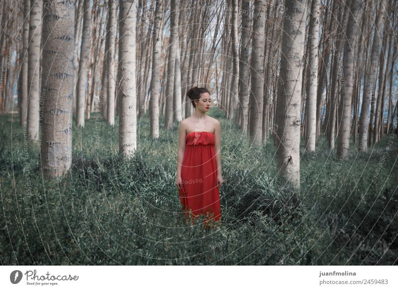 Girl in red dress in the forest Elegant Beautiful Woman Adults Nature Landscape Plant Tree Forest Fashion Dress Long Green Red Emotions Moody girl