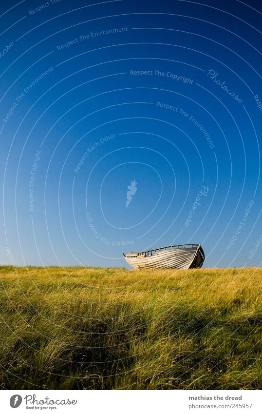 DENMARK - XIII Environment Nature Landscape Cloudless sky Horizon Summer Beautiful weather Wind Plant Grass Moss Meadow Navigation Fishing boat Old Exceptional