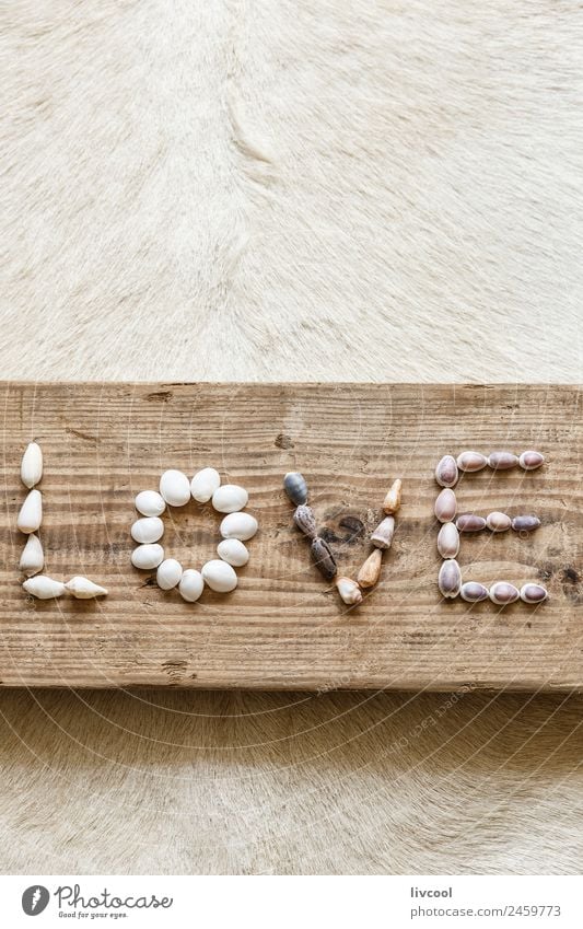 seashells forming the word love Table Art Artist Wood Love Write Emotions Passion Shell letter Communication conch Log board duramen sign Symbols and metaphors