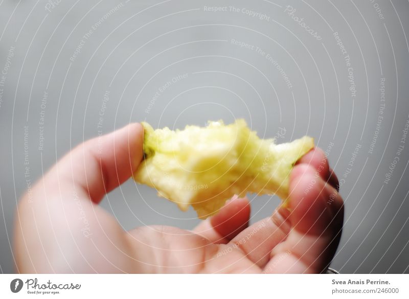 Apple. Nutrition Breakfast Apple stalk Hand Fingers 1 Human being To hold on Cold Colour photo Subdued colour Exterior shot Neutral Background