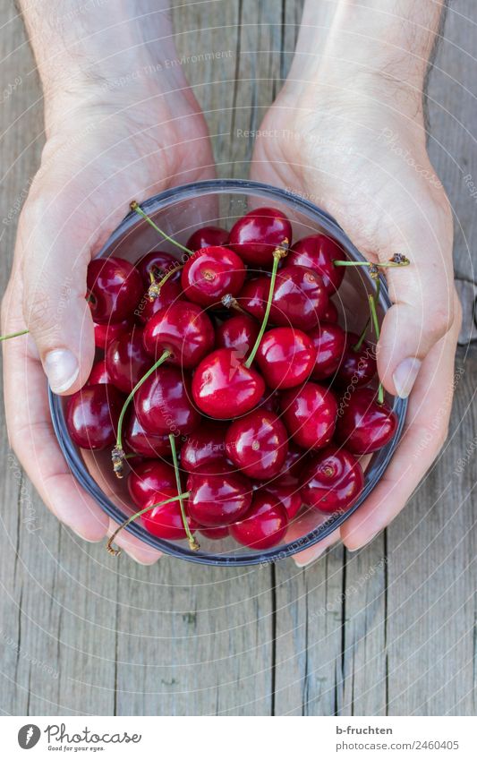 a bowl of cherries Food Fruit Picnic Organic produce Bowl Man Adults Hand 30 - 45 years To hold on Red To enjoy Healthy Cherry Many Pick Candy Delicious